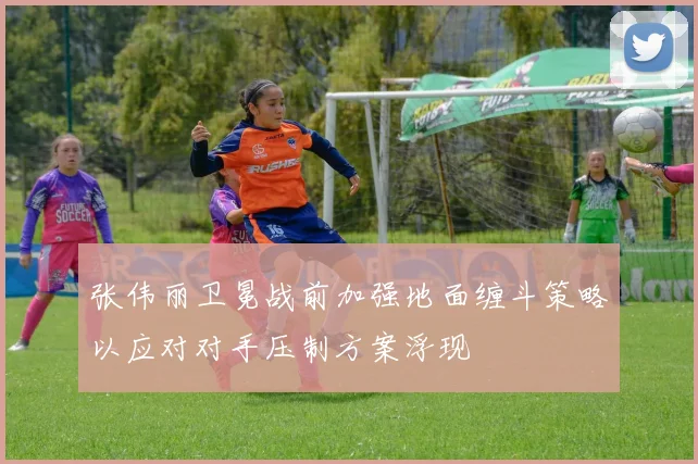 张伟丽卫冕战前加强地面缠斗策略以应对对手压制方案浮现
