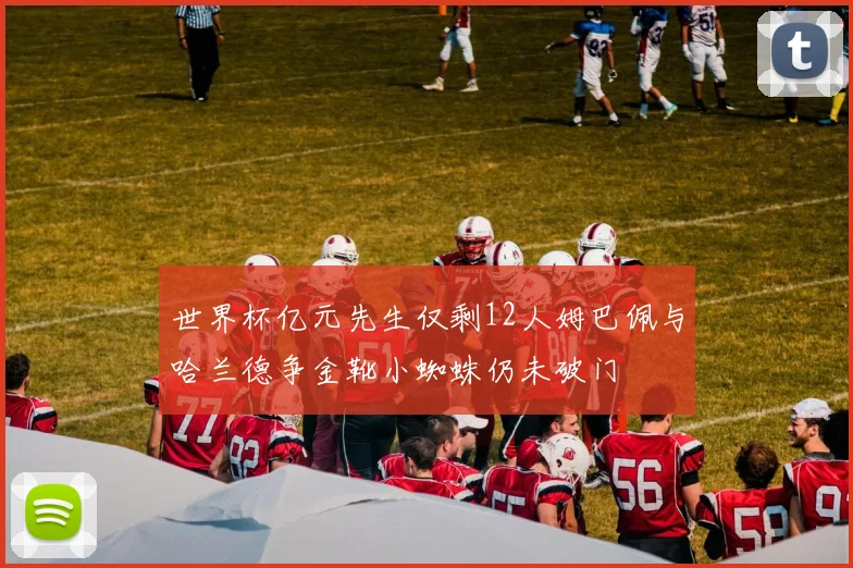 世界杯亿元先生仅剩12人姆巴佩与哈兰德争金靴小蜘蛛仍未破门