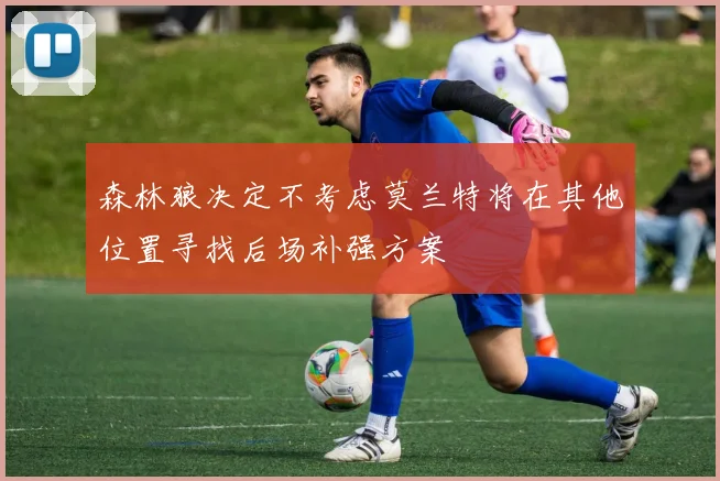森林狼决定不考虑莫兰特将在其他位置寻找后场补强方案